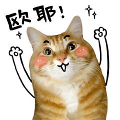 珂润防晒霜和防晒乳哪个好用,珂润防晒霜30+和50+有什么区别