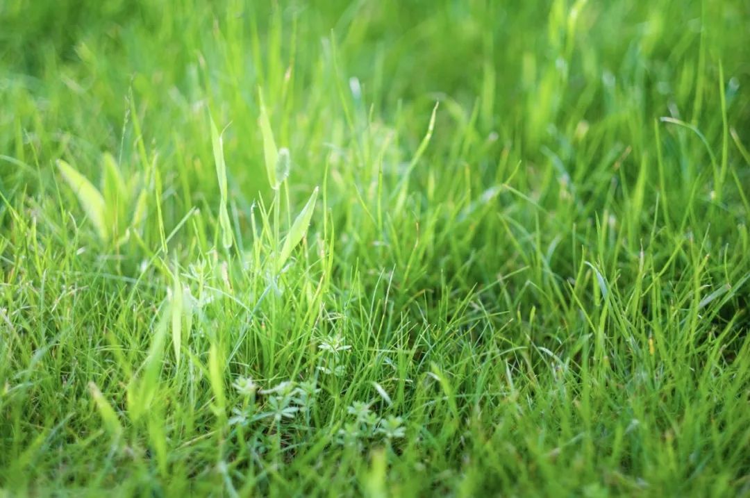 个人如何做好电商运营,个人如何做好社交电商销售