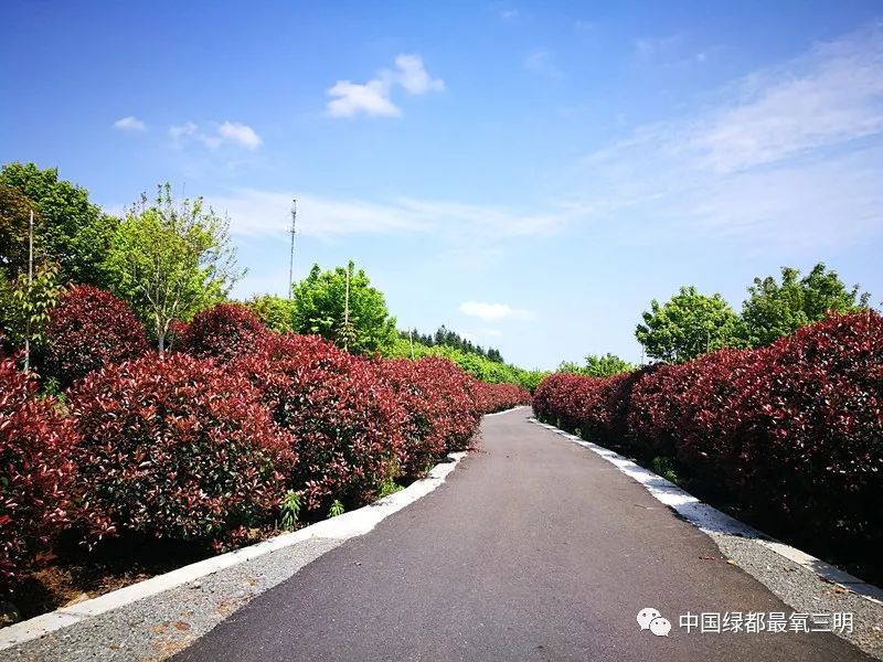 中国绿都三明旅游攻略,中国绿都乐购三明直播节明溪