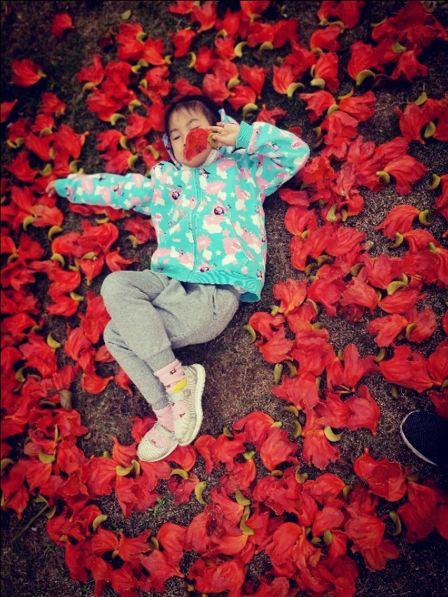 厦门园博苑带娃游玩攻略,厦门遛娃公园