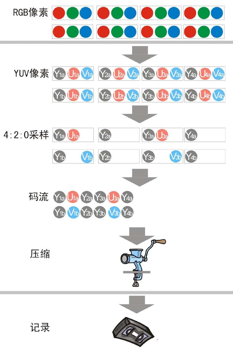 视频格式——编码和压缩