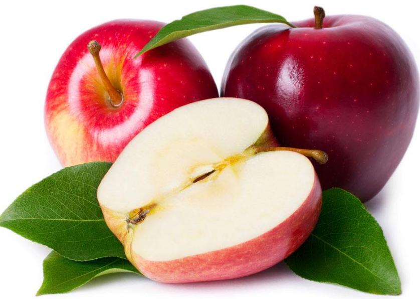 比熊犬最怕三种水果,比熊犬幼犬都吃什么水果