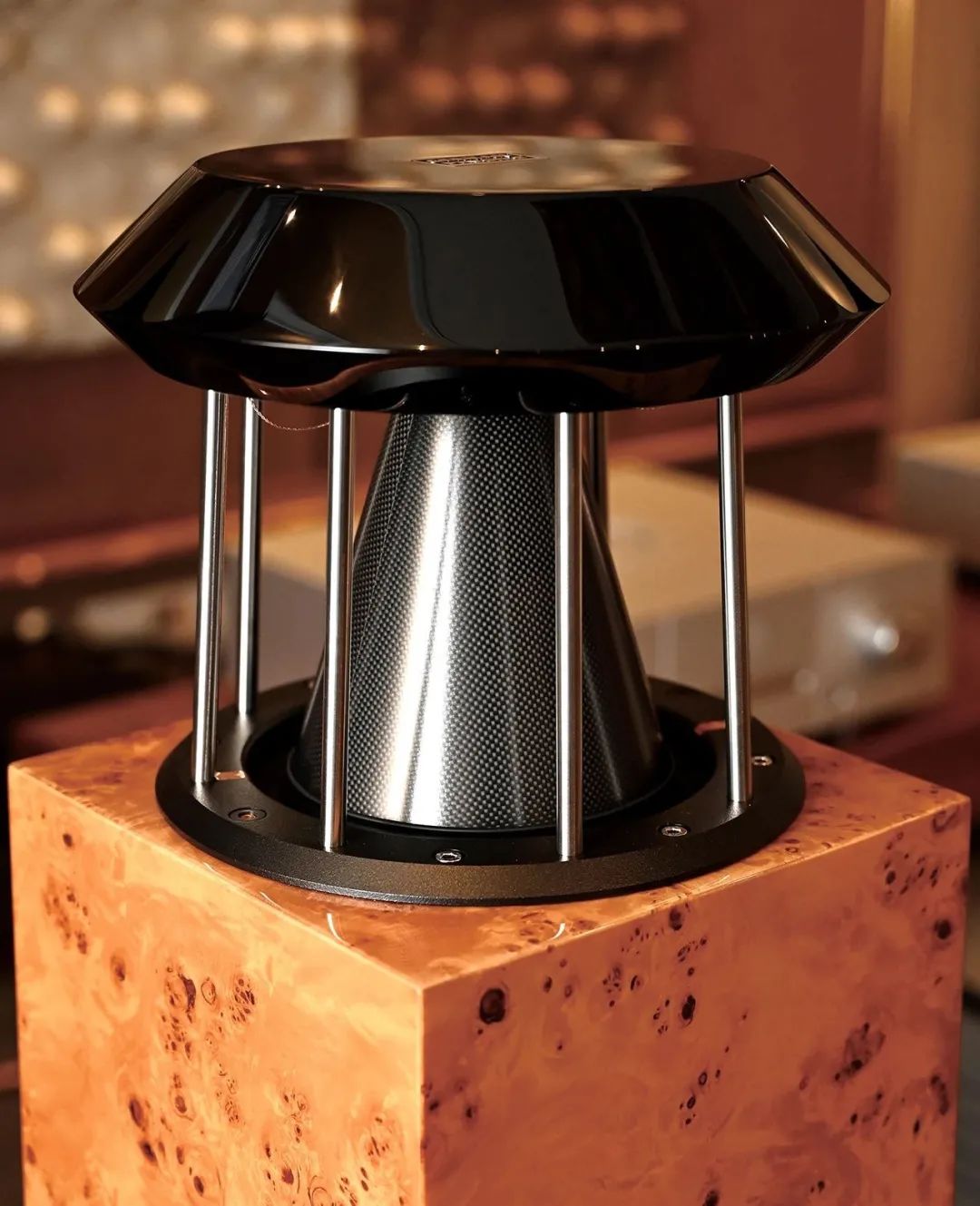 PROFESSIONALSPEAKERS闊崇,germanphysics闊崇