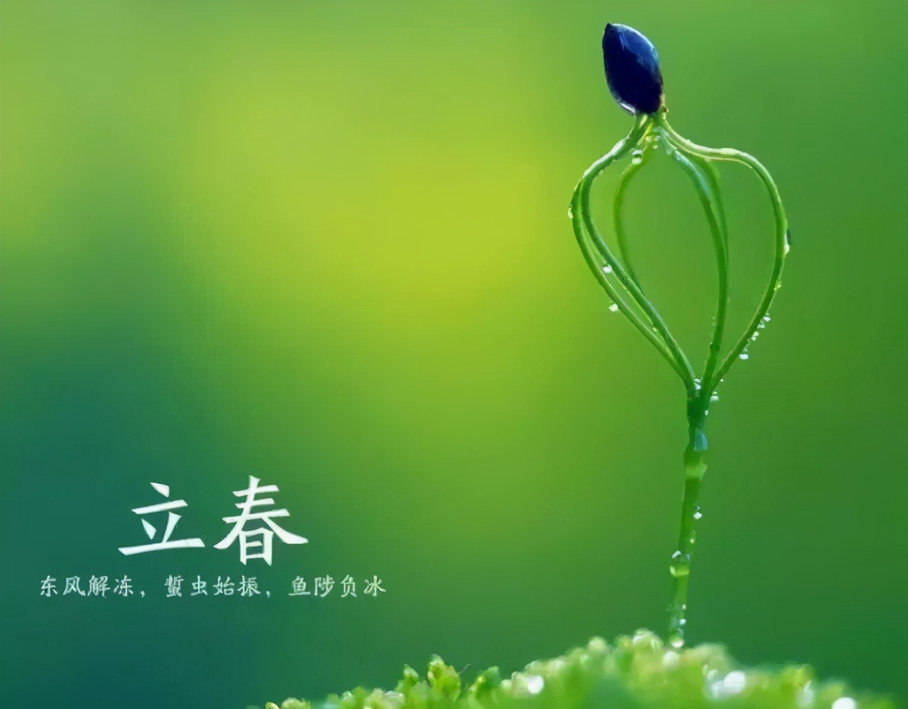 一年之计在于春的优秀作文,一年之计在于春优秀作文