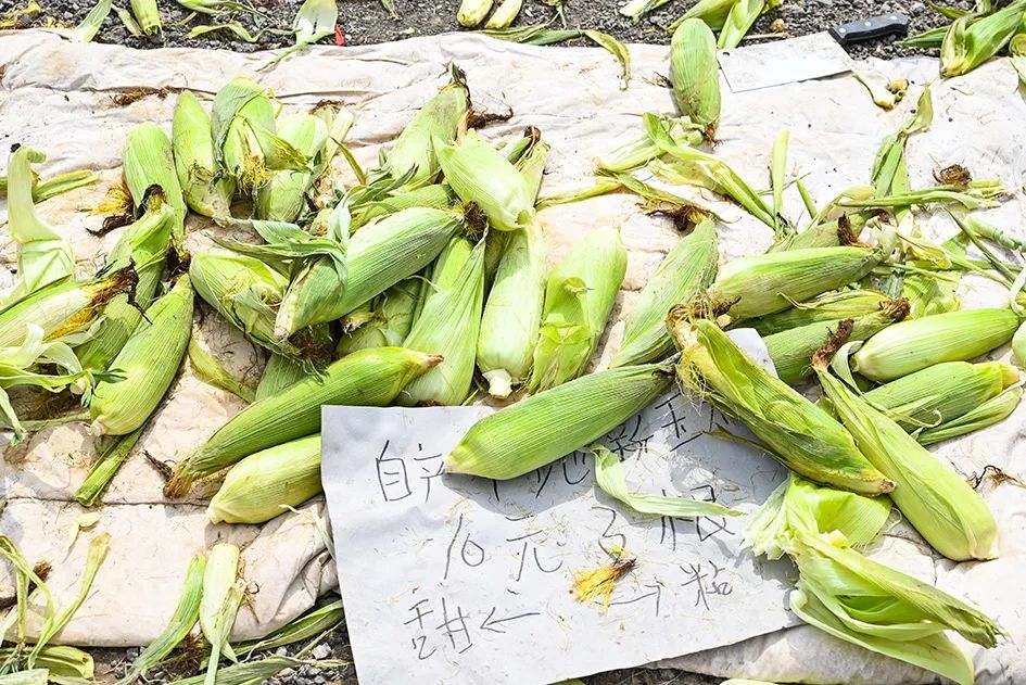 北京京郊大集地理位置,今天京郊哪有大集