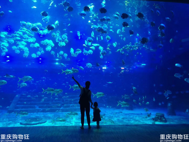 巴南三天两夜游玩攻略,下次去重庆哪里好玩