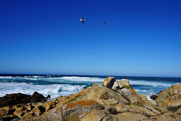 美国德州西部自由行,美国西海岸可以自由航行么