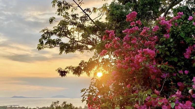 一张图看懂三亚,带你看小三亚风景