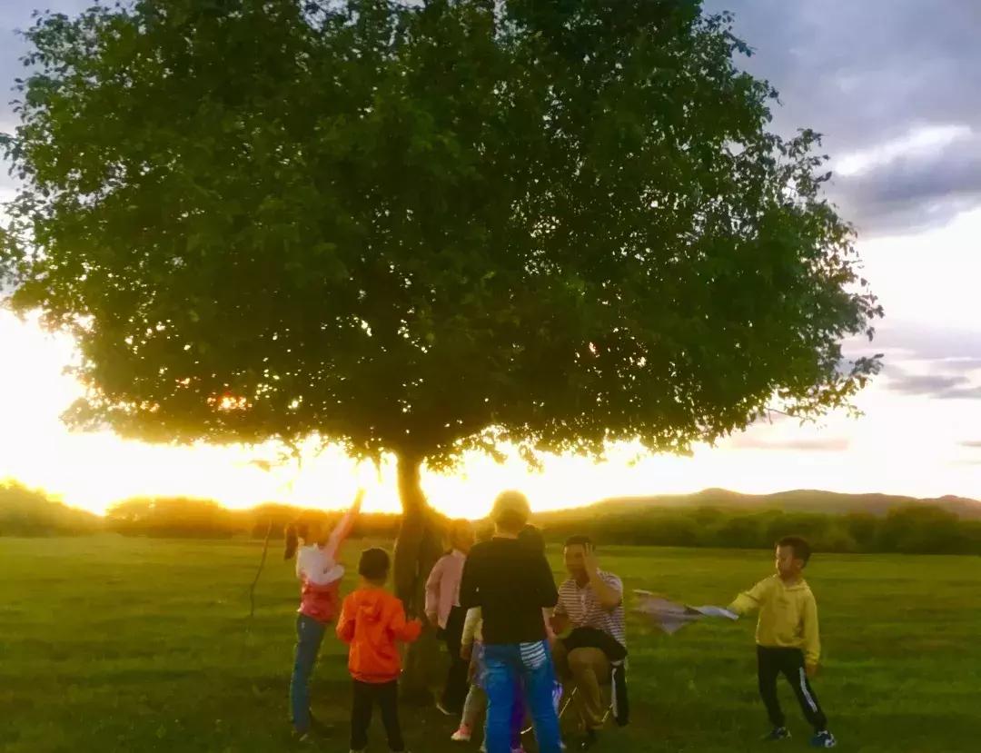 呼伦贝尔亲子游第二季,呼伦贝尔暑期亲子游