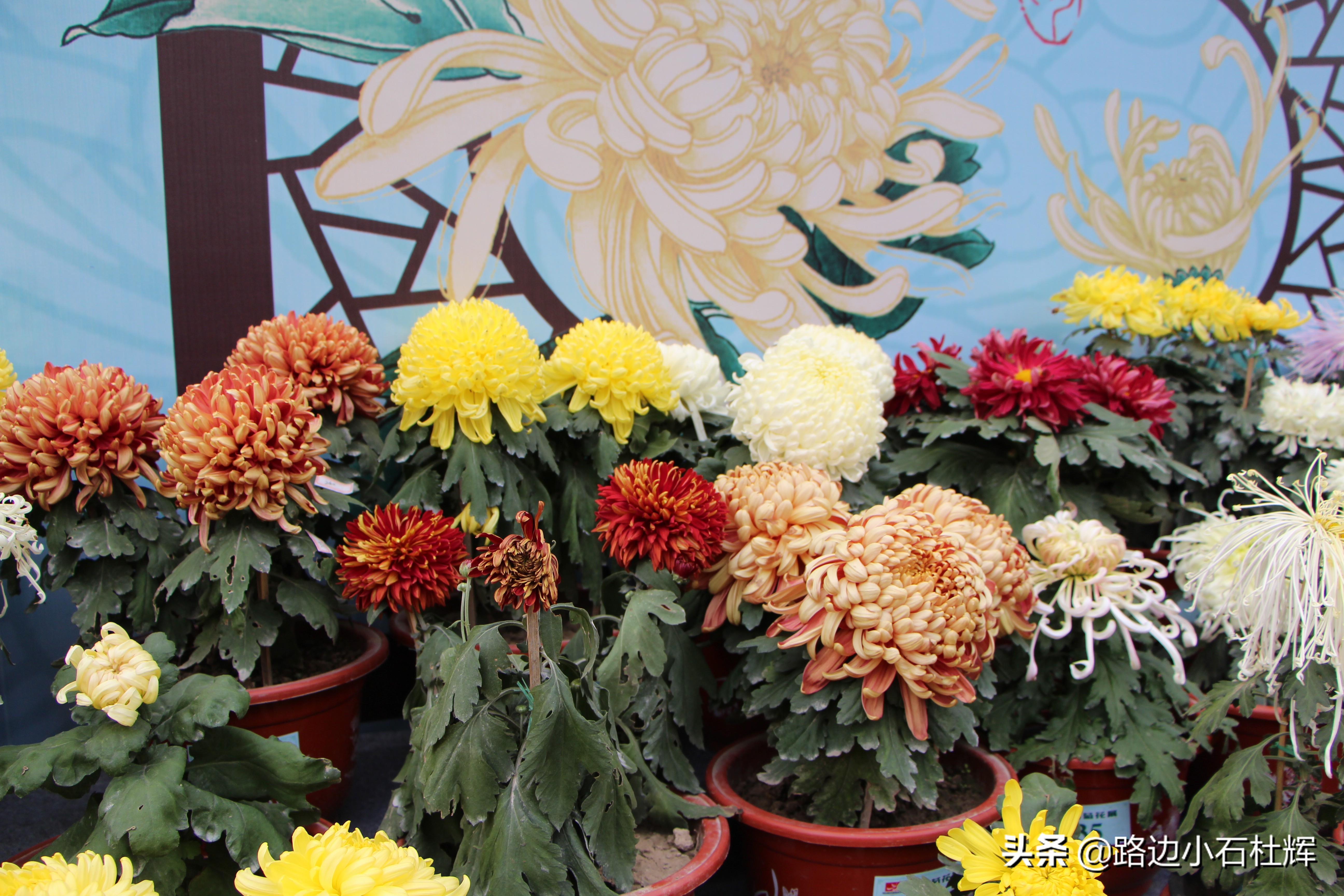 扬州瘦西湖之行,扬州瘦西湖游一圈