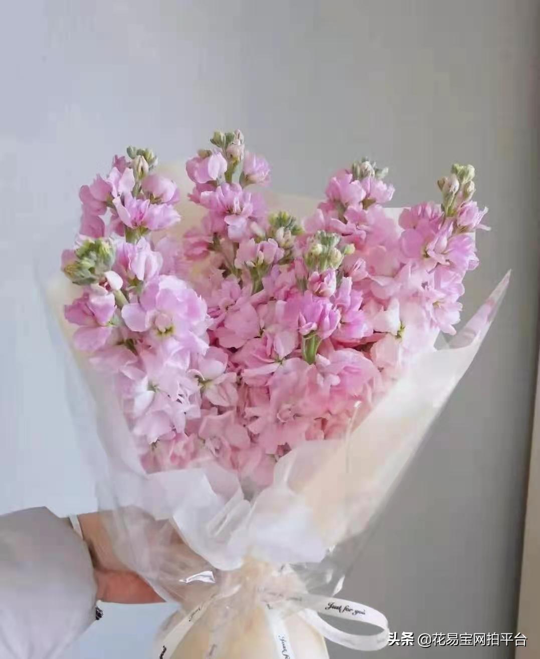 如果你听过它，你就知道它有多适合送给女神了