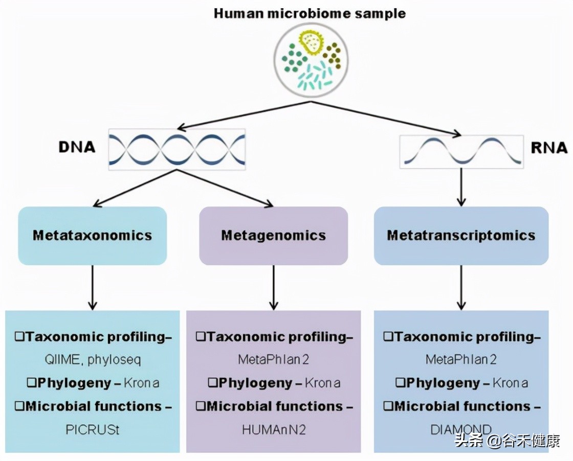 二代基因测序技术商业化,新一代测序技术在微生物学应用