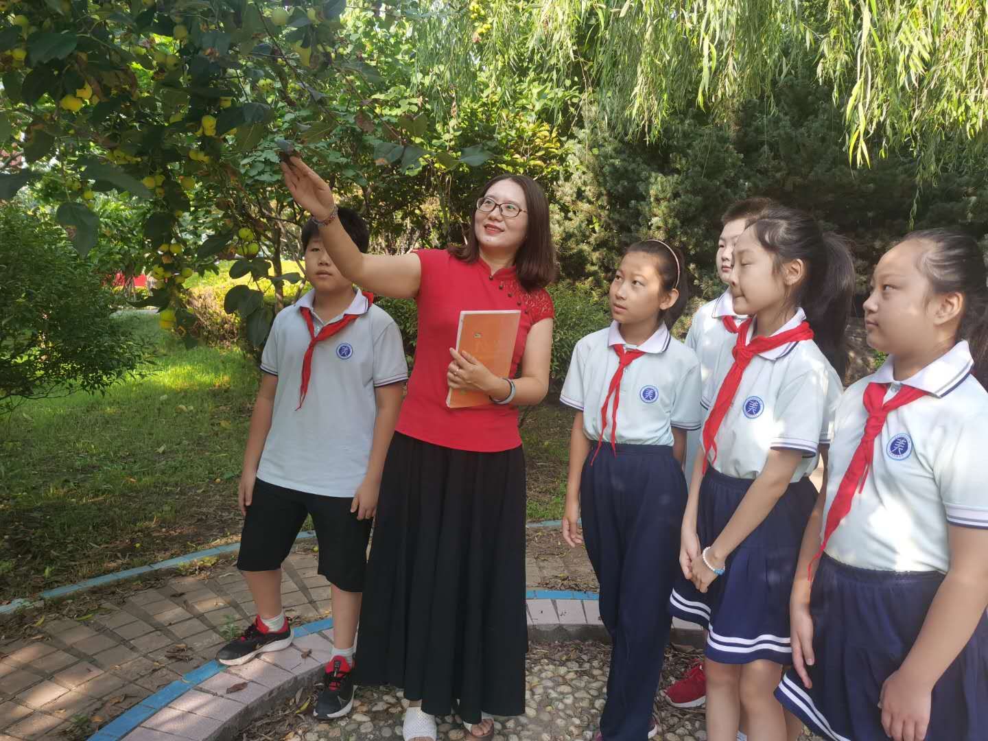 第36个教师节教师感言,第36个教师节老师在工作中的感触