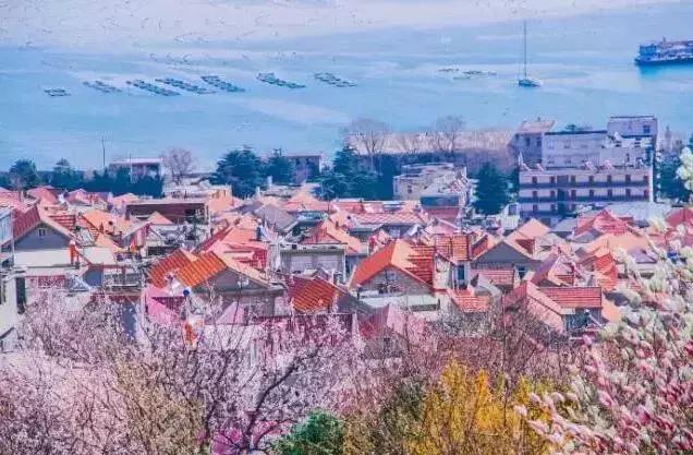 乡村振兴示范村是要拆了重新建吗,衡阳乡村振兴示范村规划编制招标