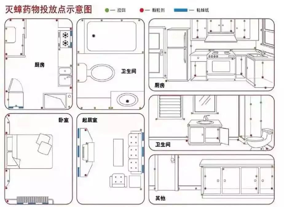 家庭蟑螂怎么消灭,消灭蟑螂的家庭小妙招