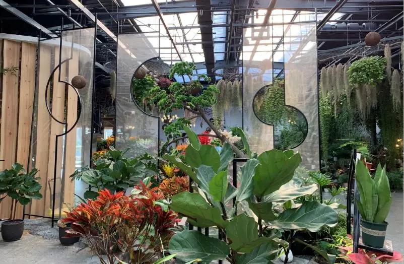 丰台四大花市在哪里,北京丰台值得逛一逛