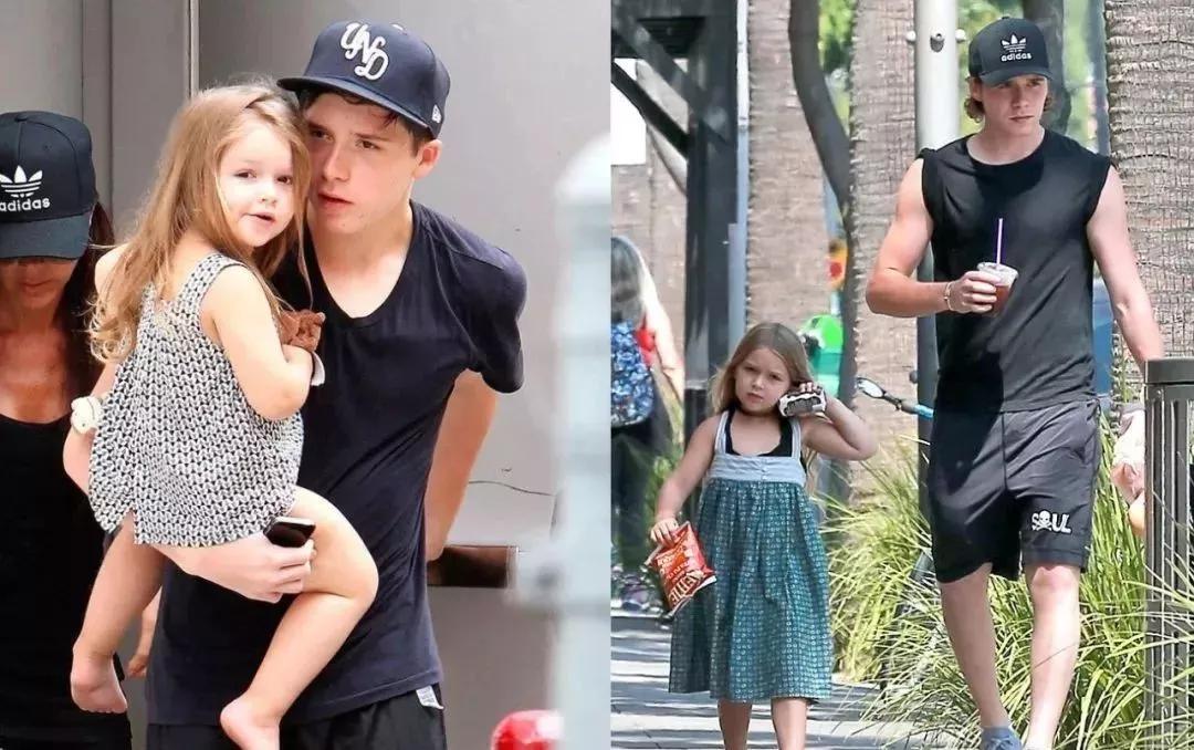 什么叫虎父有犬子,虎父犬子是谁的儿子