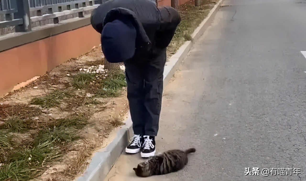 男子报警21岁喜当爹,男子喜当爹做了一件荒唐事