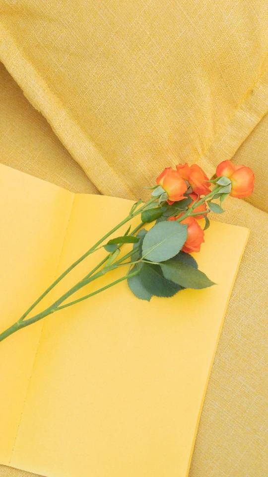 高质量vx朋友圈背景图片,vx聊天背景左绿右白