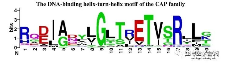 生物信息学入门的87个名词,一张表看懂生物信息学