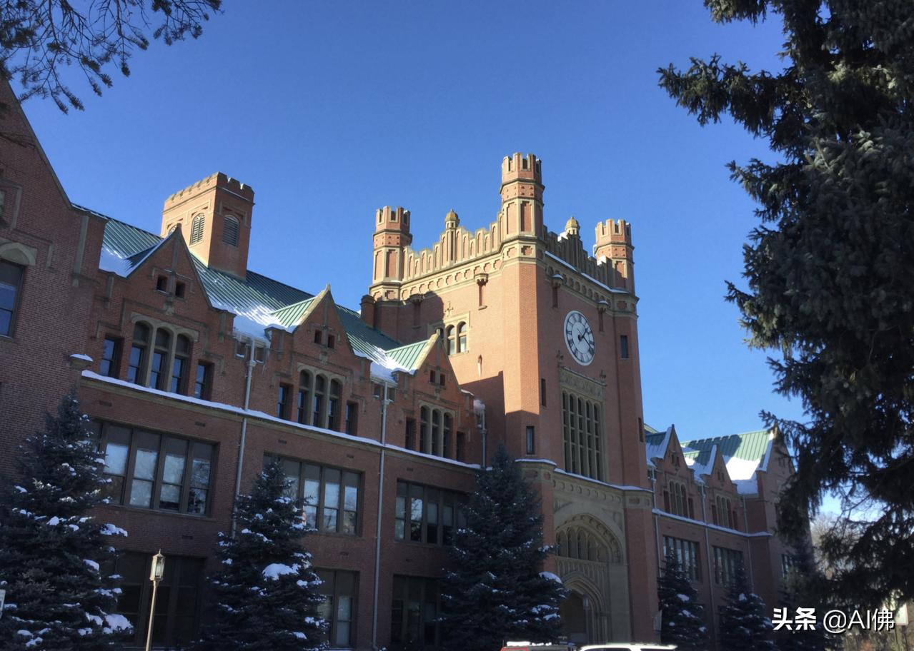 美国东部公立大学排行榜,美国各州最好的公立大学