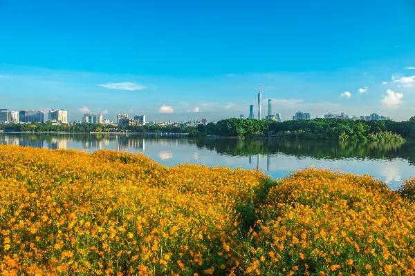 百佳诗意小城|@惠东人，快来为惠东打CALL!