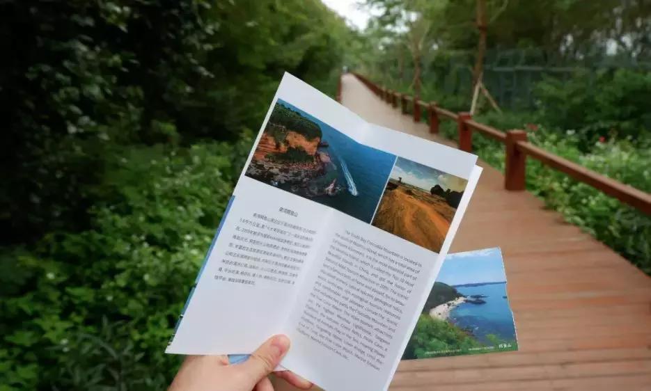 6月涠洲岛自由行,4月中去涠洲岛合适吗