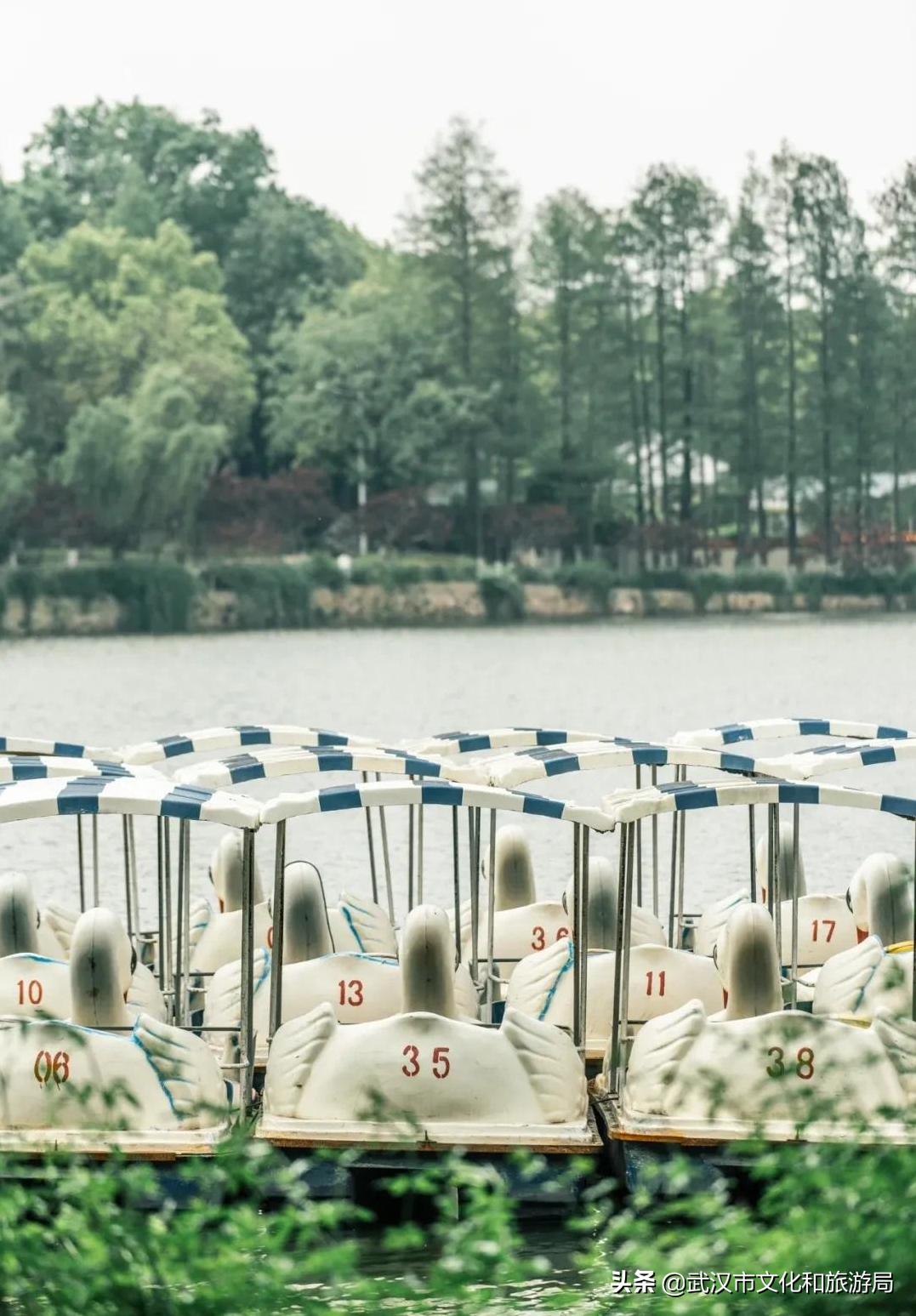 九峰森林动物园与武汉动物园,武汉野生动物园九峰山动物园