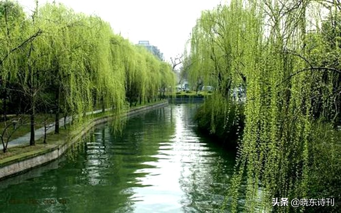 「黎明拾穗」43期诗词41首，首页篇篇造网红，风流戏子逞英雄