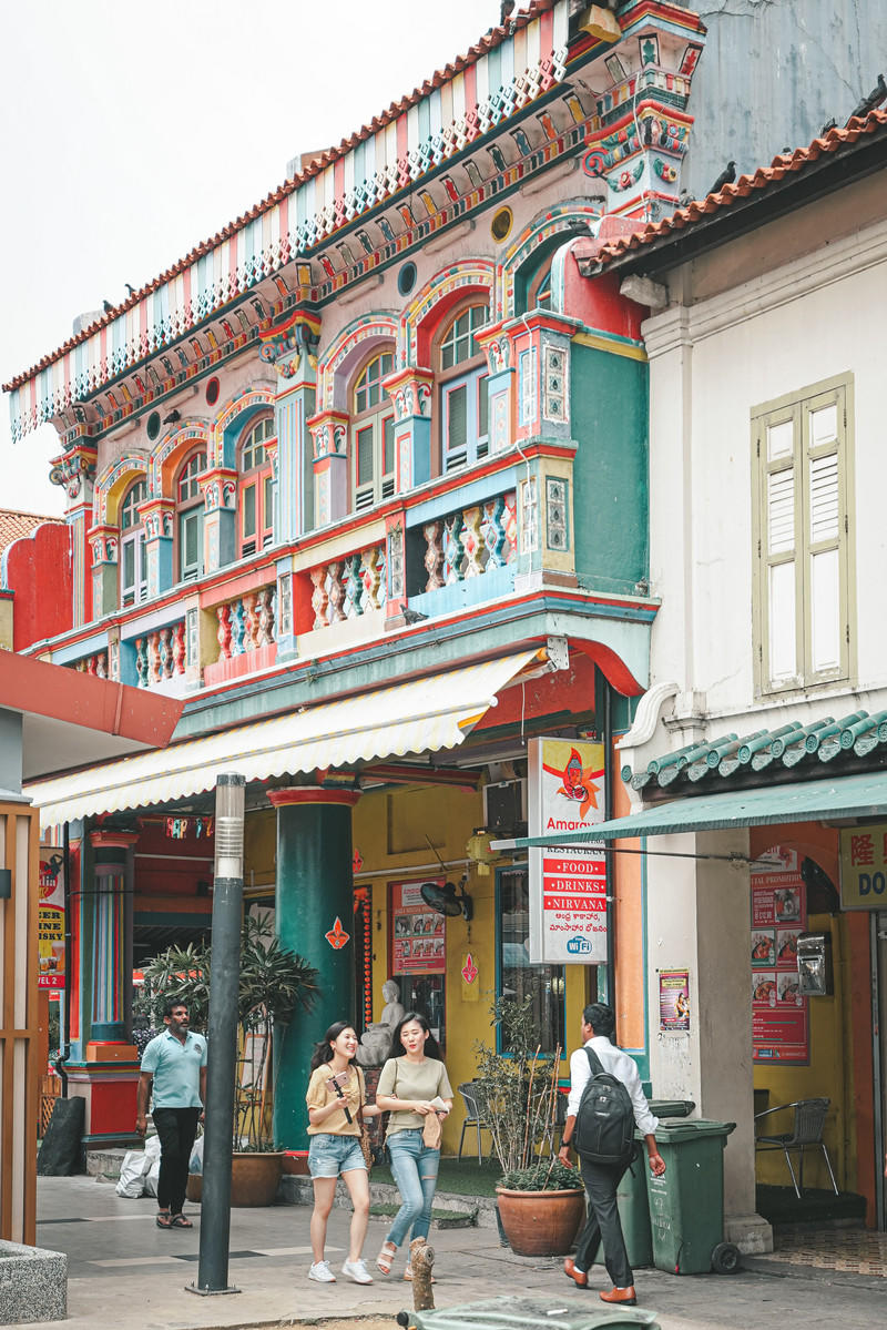 一人一猫环游,一人一猫旅行