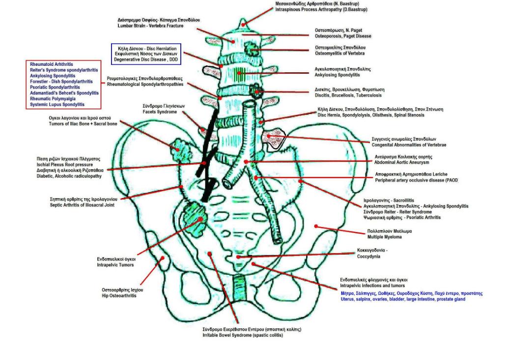 腰背肌锻炼的科学有效方法,腰背部痛锻炼最有效的方法