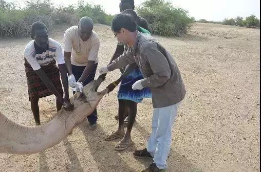 新冠病毒属于sars冠状病毒,新冠与蝙蝠sars样冠状病毒同源性