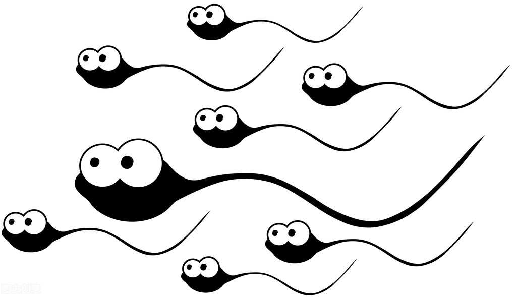 *裤内**如何影响“小蝌蚪”的健康？