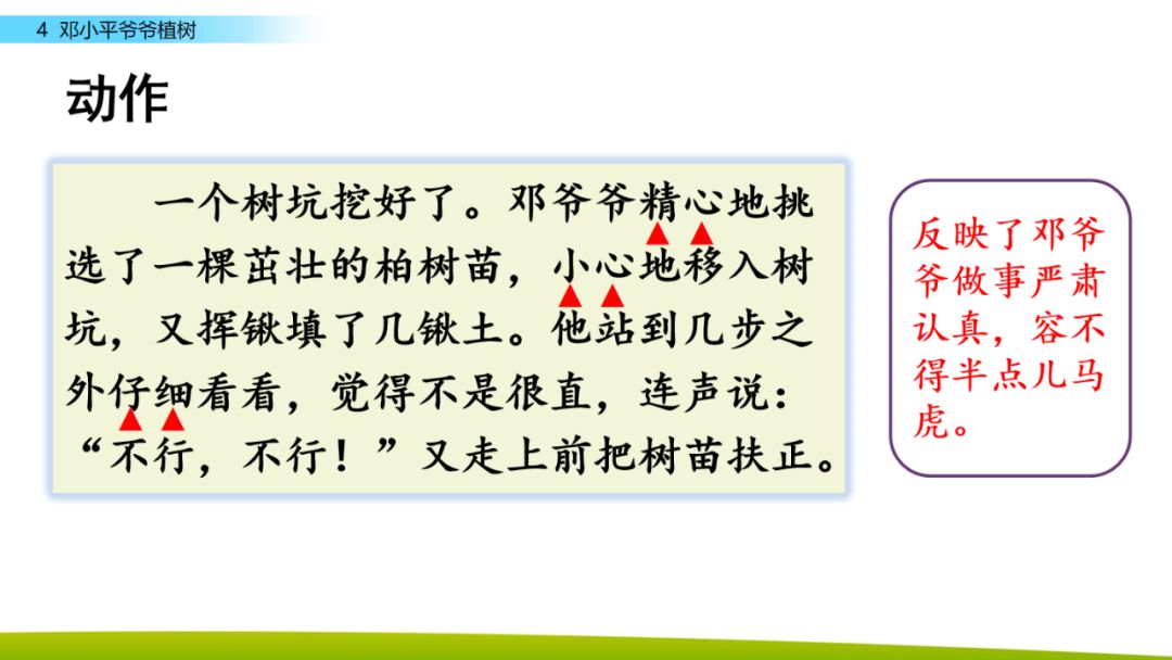 部编版二年级下册语文第4课《*小平邓**爷爷植树》知识点+图文讲解