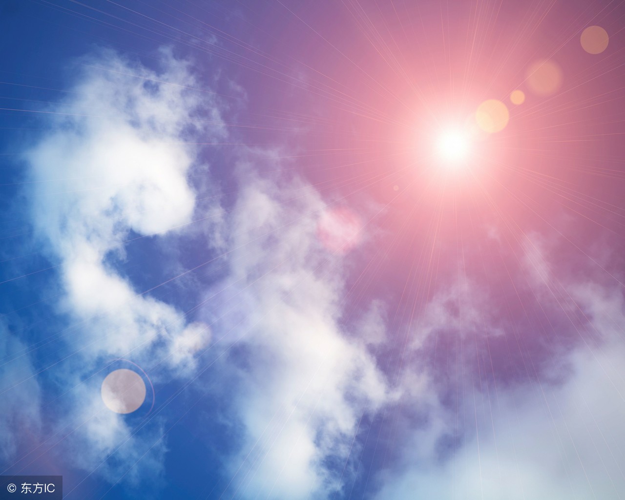 2019猪年拜年祝福语,猪年新春快乐2019新年祝福语