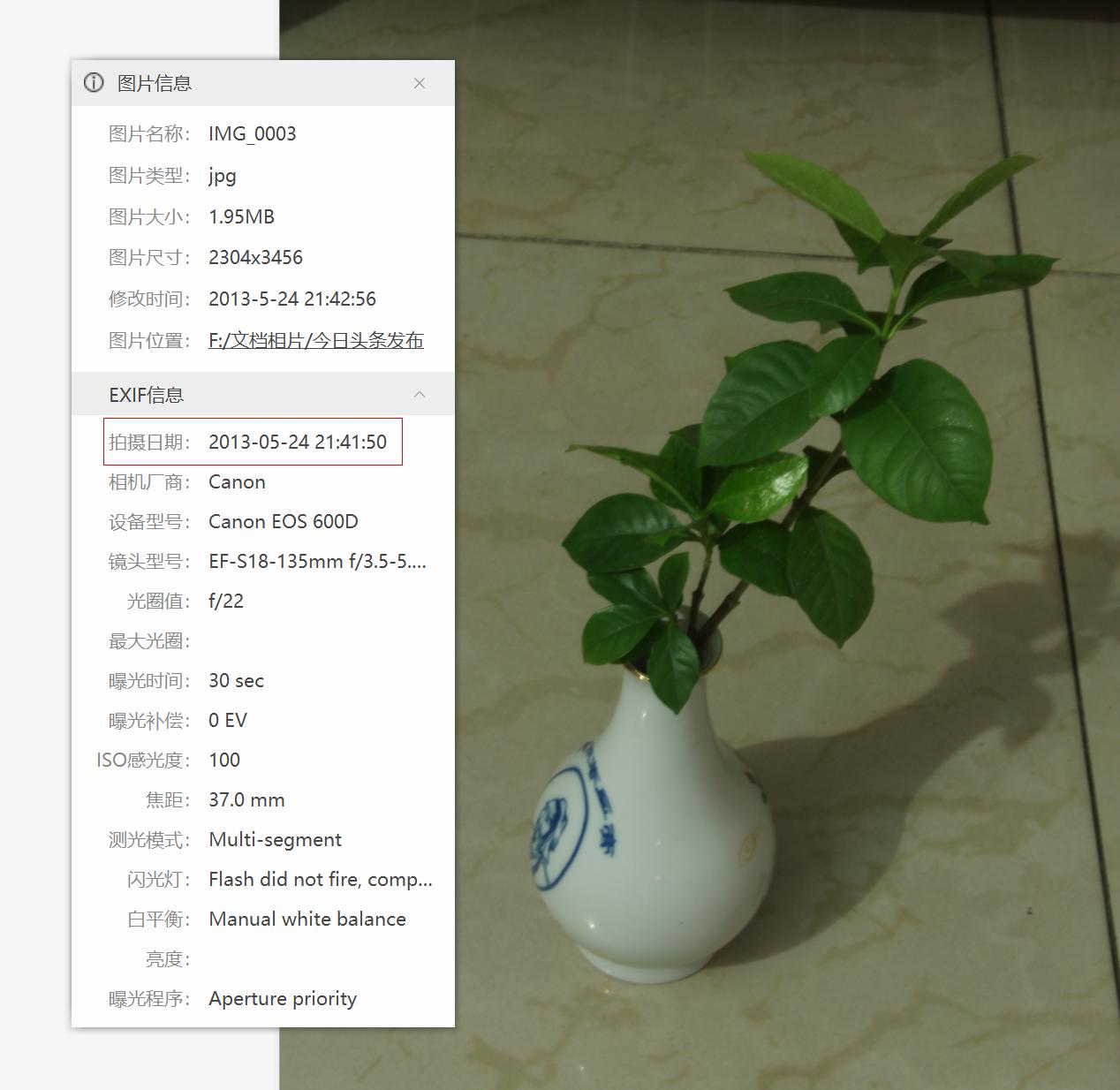 栀子花开败了以后要怎么养,土养栀子和水养栀子