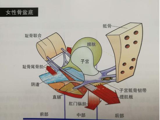 治疗尿闭用手术么,治疗尿闭的花费