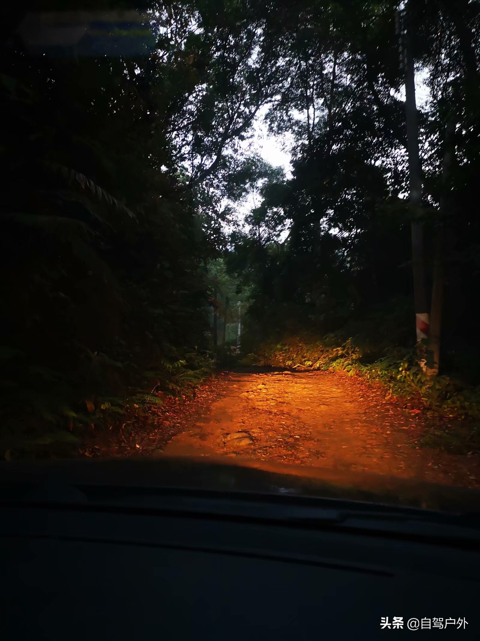 罗浮山脚下小溪露营地推荐,罗浮山休闲竹林露营攻略