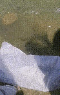 捡到了u盘里面会有什么,捡到一个u盘还好没有用