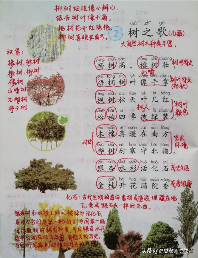 二年级树之歌课文笔记整顿,小学二年级树之歌内容