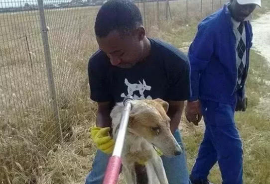 鐢蜂汉鐢ㄦ毚鍔涢┍璧舵祦娴嫍,涓轰粈涔堜繚瀹夎鎶婂悇绉嶆祦娴嫍鎵撴