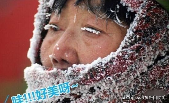 漠河极寒之旅,漠河遇到熊