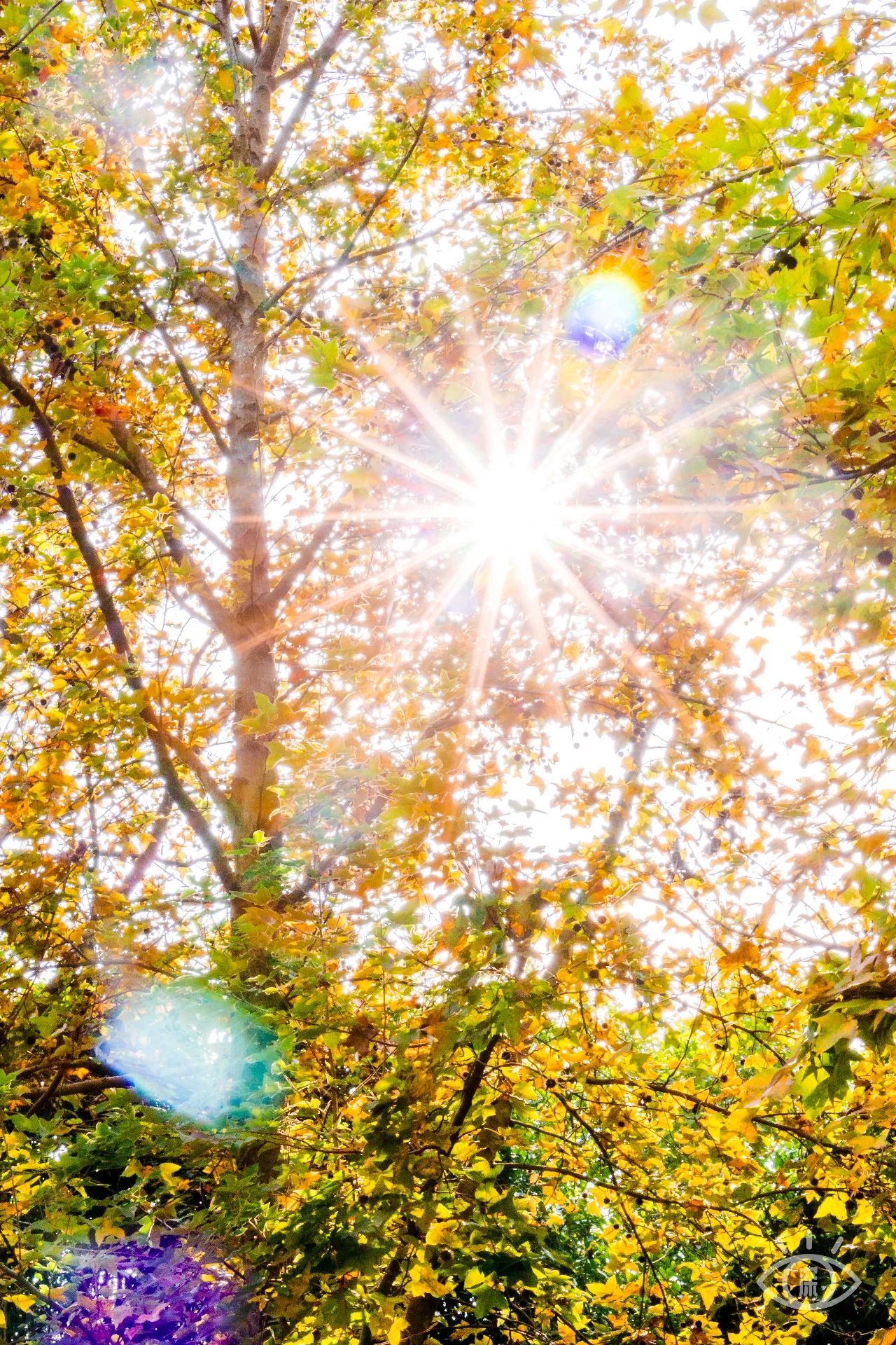 深圳各区最美的地方,深圳6个绝美地方