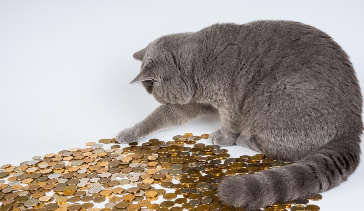 验光配镜网上好还是实体店,网上配镜比实体店便宜太多了