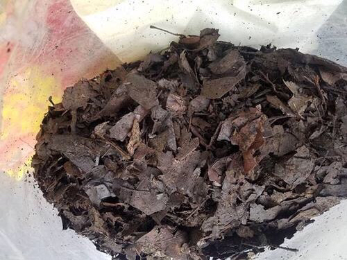 养花旧土怎样变营养土,想养花没有阳台怎么办