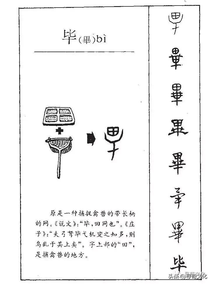 毕-汉字的艺术与中华姓氏文化荀卿庠整顿