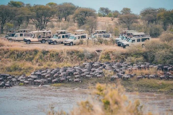 坦桑尼亚之旅,坦桑尼亚东非草原