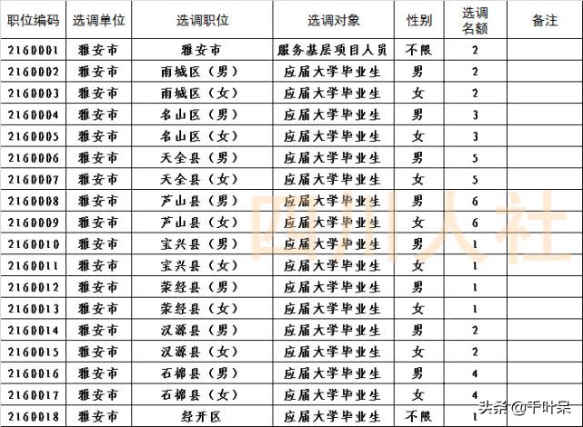 四川省选调生基层工作公告,四川省2020选调大学生到基层