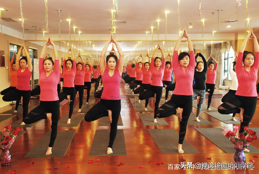 禅逸瑜伽教练培训口碑,禅逸瑜伽教学培训班