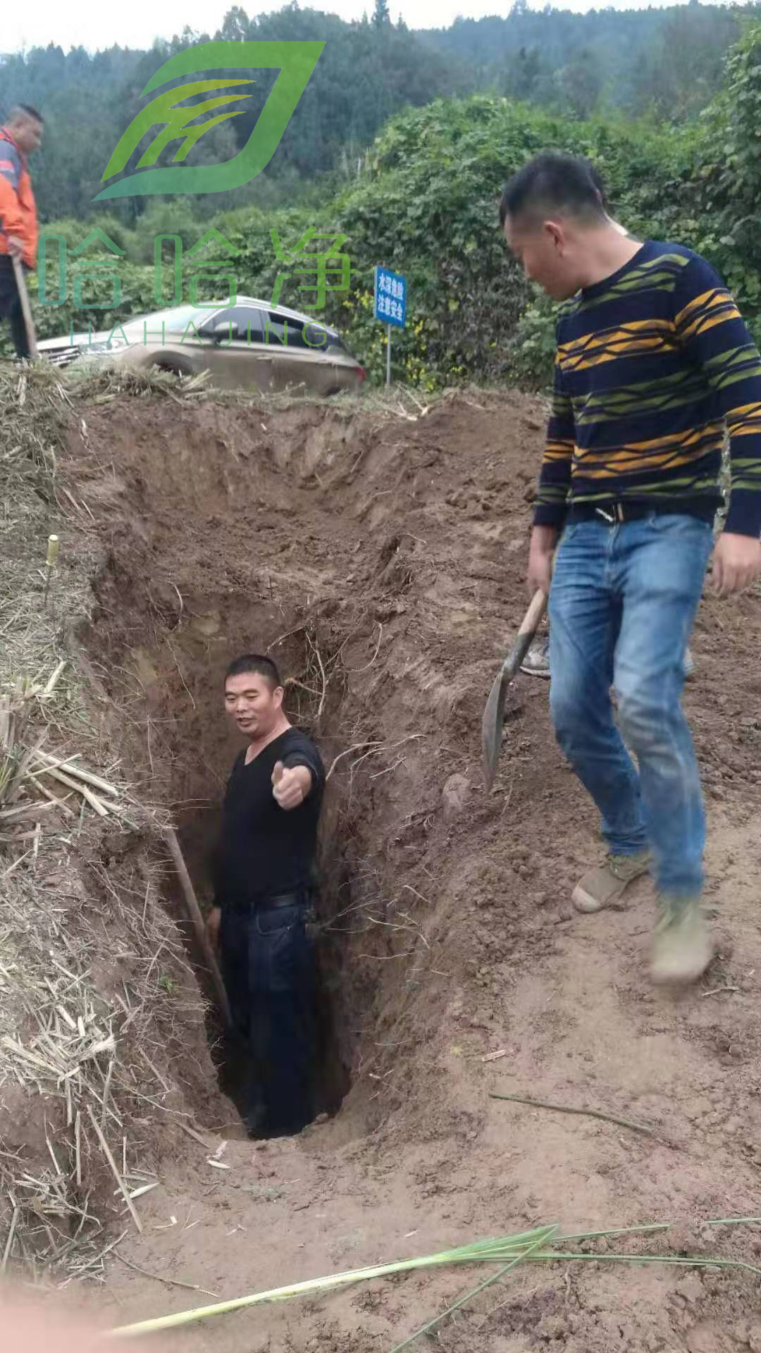 重庆除白蚁公司电话,重庆除白蚁电话